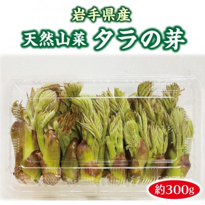 【先行受付】 《4月中旬頃～発送予定》 山菜 タラの芽 約300g 天然山菜 たらのめ 