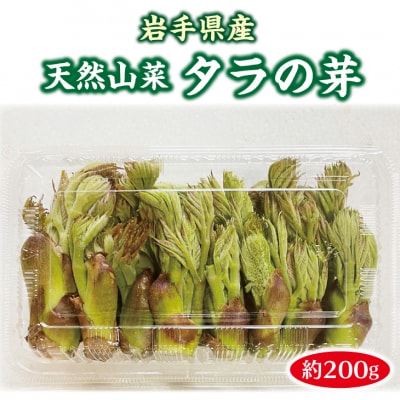 山菜 タラの芽 約200g 天然山菜 たらのめ 