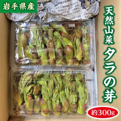 【先行受付】 《4月中旬頃～発送予定》 山菜 タラの芽 約300g 天然山菜 たらのめ 