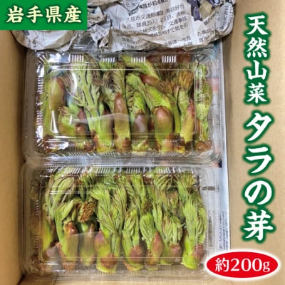 【先行受付】 《4月中旬頃～発送予定》 山菜 タラの芽 約200g 天然山菜 たらのめ 