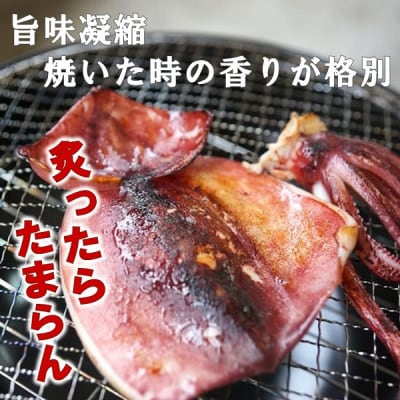 北三陸産 真イカ一夜干し 3枚入り×5袋 いか イカ焼き いかめし イカゲソ