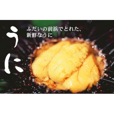 【期間限定】【厳選】普代産天然生うに 瓶詰め1本 約170g 牛乳瓶入りウニ