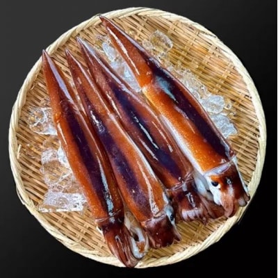 【年内発送】 【鮮度そのまま急速冷凍】冷凍スルメイカ 大サイズ 20尾入 年内配送 年内お届け