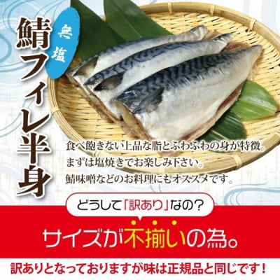 【訳あり】 さば 北三陸産 無塩 鯖フィレ 半身 1kg (4～7枚入) 【真空パック入り】 サバ