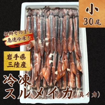 【年内発送】 冷凍スルメイカ 小サイズ 30尾入り 鮮度抜群 急速冷凍 いか 年内お届け 年内配送