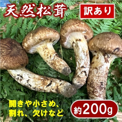 【期間限定】岩手県産 天然松茸 約200g 国産 松茸訳あり 【開きや小さめ、割れ、欠けなど】 