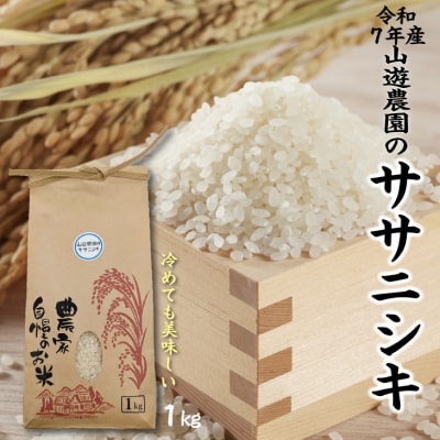 【令和7年産】 【新米】 お米 山遊農園 ササニシキ 1kg×1袋 普代の自然人米 農家のお米