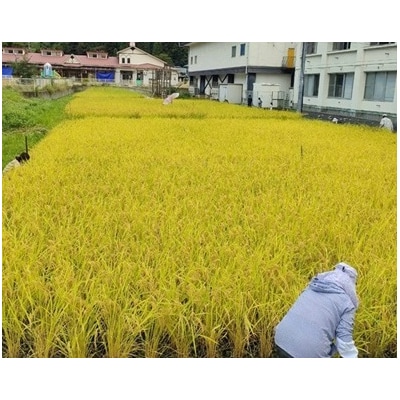 【令和7年産】 【新米】 お米 山遊農園 ササニシキ 1kg×1袋 普代の自然人米 農家のお米