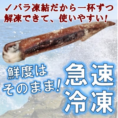 三陸水産 冷凍スルメイカ 約1kg (5～6杯程度)