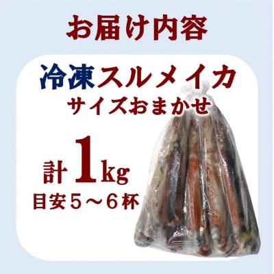 三陸水産 冷凍スルメイカ 約1kg (5～6杯程度)