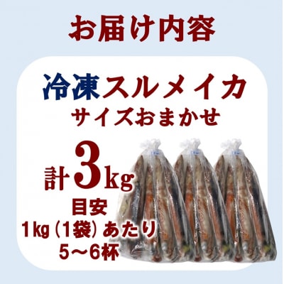 三陸水産 冷凍スルメイカ 約3kg (1kg×3袋) いか