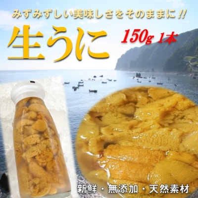 【先行受付】 【6月中旬頃～発送予定】 三陸 普代産 生うに 150g 1本 牛乳瓶入り