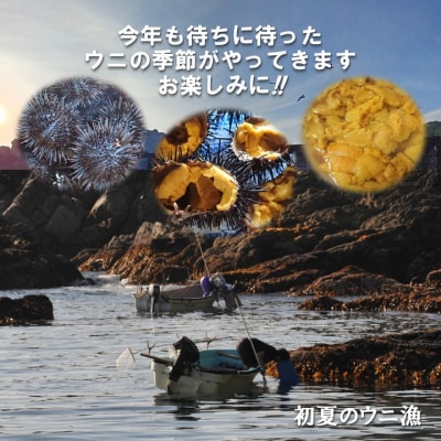 【先行受付】 【6月中旬頃～発送予定】 三陸 普代産 生うに 150g 1本 牛乳瓶入り