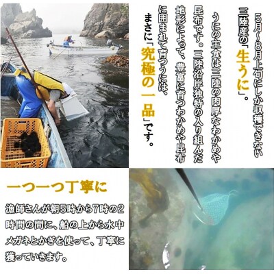 瓶入り 生うに 90g×1本 ミョウバン不使用 無添加 塩水