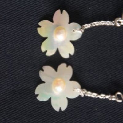 貝と真珠　ピアス【桜:アコヤ】