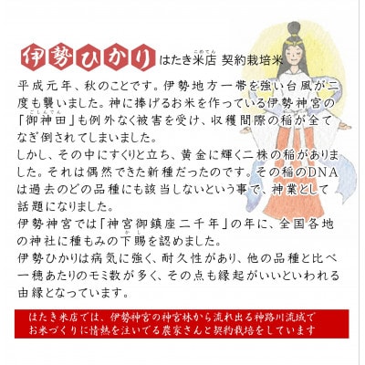 【伊勢奉祝】 お米 伊勢ひかり5kg　精米
