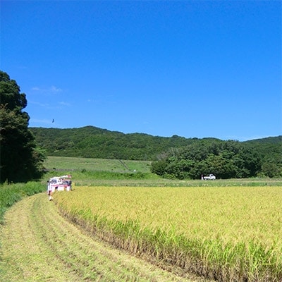 【伊勢奉祝】 お米 伊勢ひかり5kg　精米