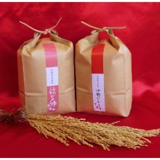 【伊勢奉祝】 「伊勢ひかり2kg」「結びの神2kg」セット　精米