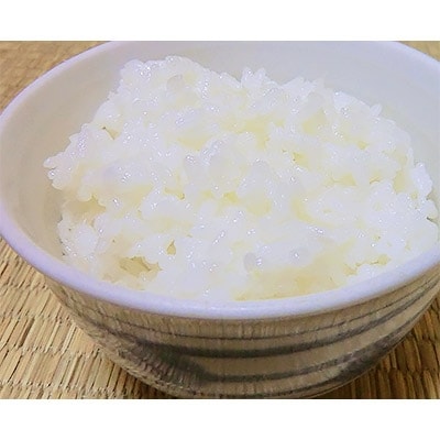 【伊勢奉祝】 「伊勢ひかり5kg」「結びの神5kg」セット　精米