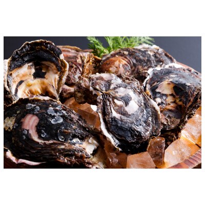 的矢湾産　生食用岩かき　6個入り(約250g～300g)