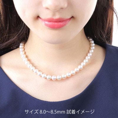 老舗の真珠専門店・オーロラ天女アコヤ真珠ネックレス・ピアスセット　8.0～8.5ミリ