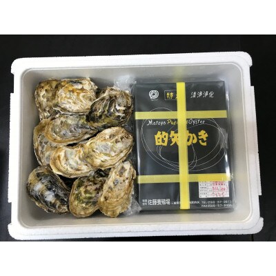 【ふるさと納税】 清浄的矢かき15ヶ入　むき身500gセット