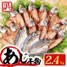 訳あり干物 あじ開き (塩) 2.4kg