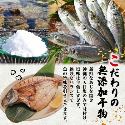 訳あり干物 あじ開き (塩) 2.4kg