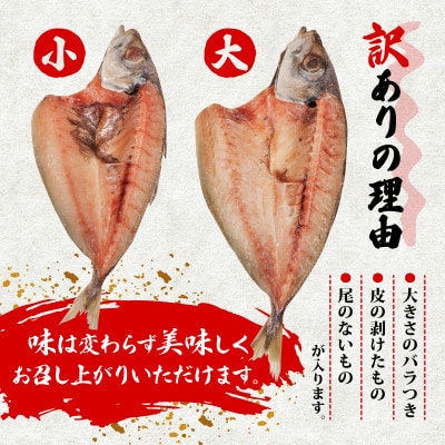 訳あり干物 あじ開き (塩) 2.4kg