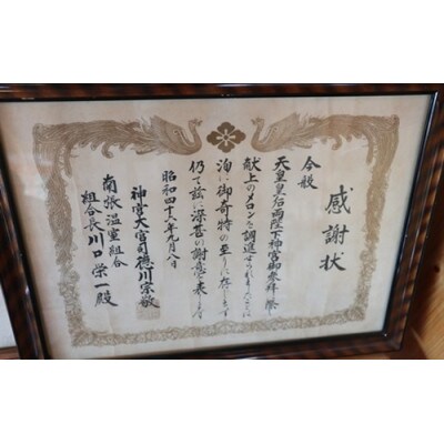 川口農園の南張メロン 1個 伊勢志摩サミット提供食材　令和5年12月順次発送予定