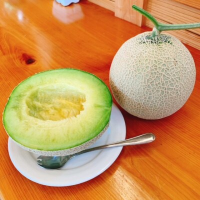 川口農園の南張メロン 2個 伊勢志摩サミット提供食材 令和6年7月順次発送　品種はマスクメロンです