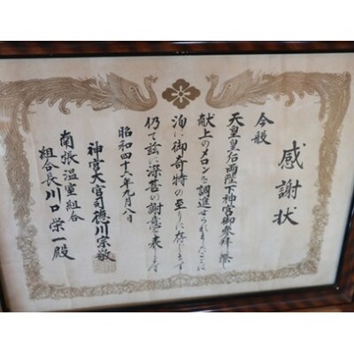 川口農園の南張メロン2個 令和6年11月順次発送 伊勢志摩サミット提供食材 品種はマスクメロンです