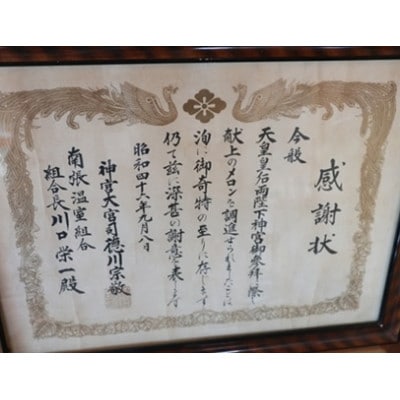 川口農園の南張メロン2個 令和7年1月順次発送 伊勢志摩サミット提供食材 品種はマスクメロンです
