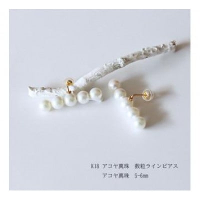 志摩産アコヤ真珠 5-6ミリ ホワイトピンク 5粒タイプ 数粒ラインピアス