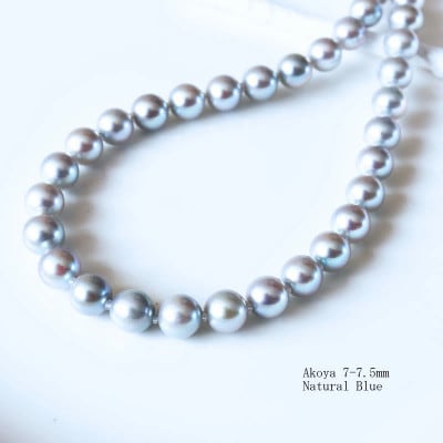 志摩産 あこや真珠 7-7.5mm ナチュラルブルー フォーマルネックレス 42cm
