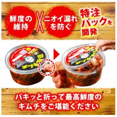自家製ヤンニョム　京城キムチの素400g(200g×2パック セット)