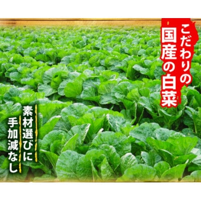 焼肉屋の自家製 京城キムチ600g(小分け 300g×2パック)