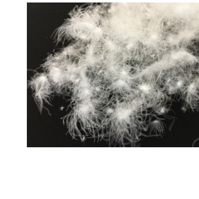 【羽毛枕】バックスリーパー　ダウンピロー【大型サイズ:50cm×70cm】