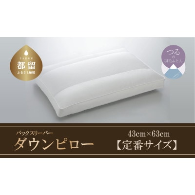 バックスリーパー　ダウンピロー【定番サイズ:43cm×63cm】