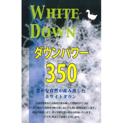 【数量限定・訳あり】羽毛合掛け布団　(ダブル:190cm×210cm)