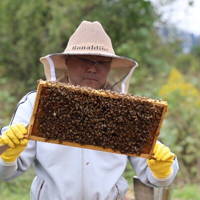 都留の富士山はちみつ　(菜の花)170g　国産はちみつ
