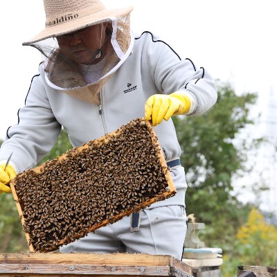 都留のはちみつ　(菜の花)250g　国産はちみつ