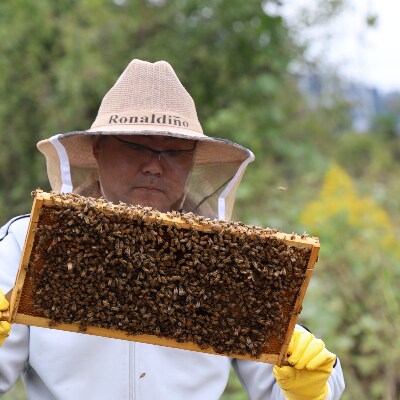 都留のはちみつ(菜の花)1200g　国産はちみつ