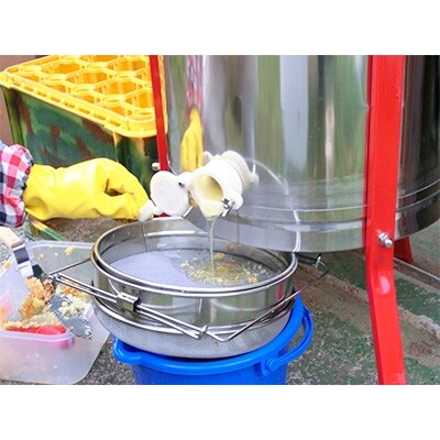 都留のはちみつ食べ比べ2本『アカシア菜の花』170g『ケンポナシ、ミズキ、クリ』170g国産はちみつ