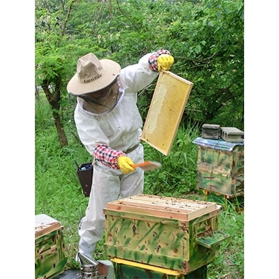 都留のはちみつ(菜の花・アカシア)250g　国産はちみつ