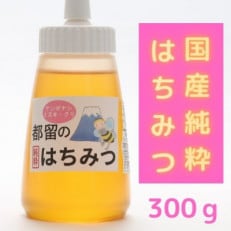 都留のはちみつ(ケンポナシ・ミズキ・クリ)300g チューブタイプ 国産はちみつ