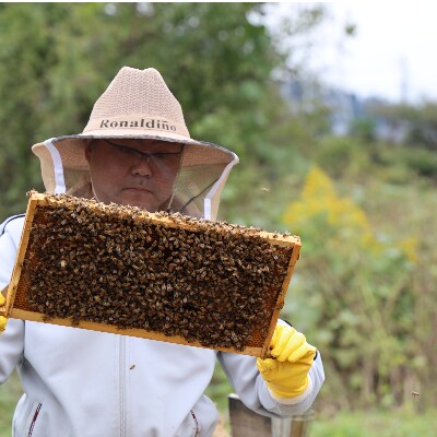 都留のはちみつ(アカシア)250g　国産はちみつ