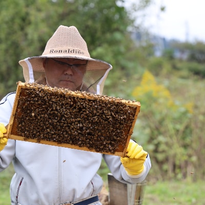 都留のはちみつ(アカシア)170g　国産はちみつ