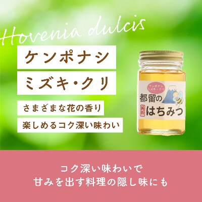 都留のはちみつ(ケンポナシ・ミズキ・クリ)580g　国産はちみつ
