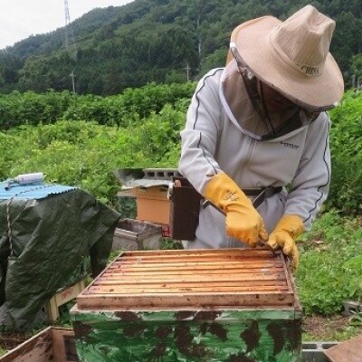 都留の富士山はちみつ・食べ比べ3本セット種類はおまかせ(170g×3)